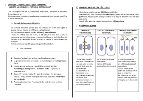 fisiologia-homeostasis-catalc3a0-4-5.pdf