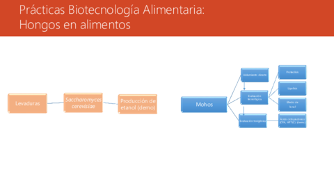 esquemas-practicas20-21-2-grupos.pdf