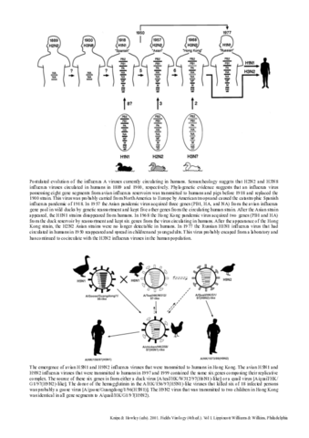 Epidemiologia-influenzavirus.pdf