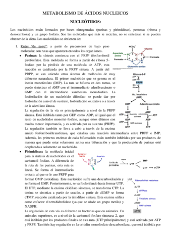 Metabolismo-de-acidos-nucleicos.pdf