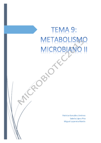 Tema-9final-LMM.pdf