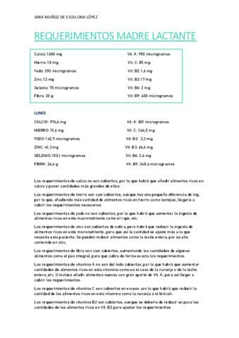 REQUERIMIENTOS-MADRE-LACTANTE.pdf