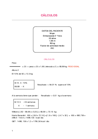 CALCULOS.pdf