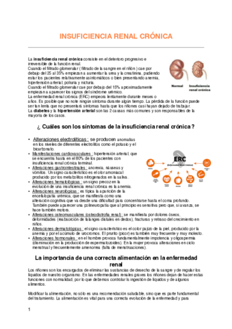 INFORME.pdf