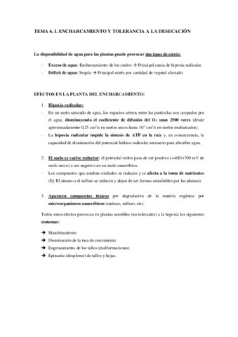 TEMA-6-I.pdf