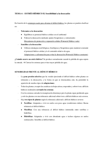 TEMA-6-II.pdf