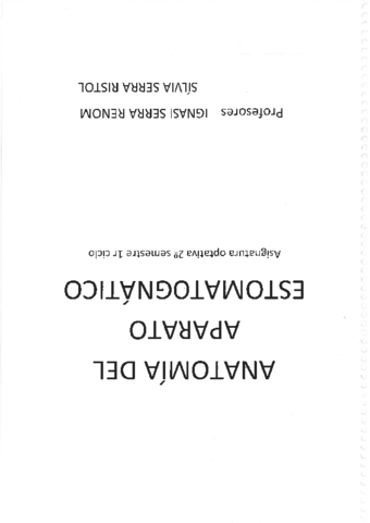 anatomia-del-aparato-estomg.pdf