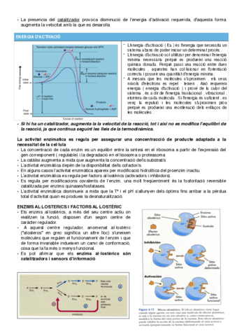 introduccic3b3n-al-metabolismo-3-4.pdf