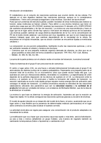 metabolismo-1-2.pdf