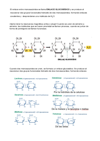 apuntes-de-bioquimica-18-21.pdf