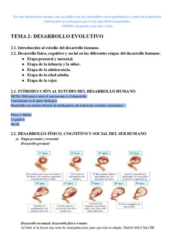 TEMA2DESARROLLOEVOLUTIVO.pdf