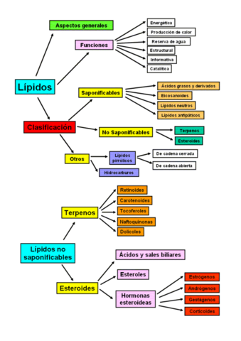 esquema-organizativo.pdf