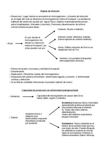 apuntes-microbiologia-7-8.pdf