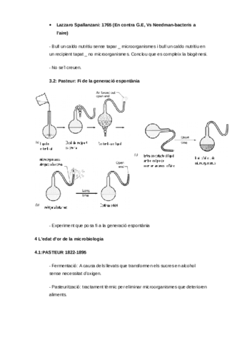 26-09-13-microbiologia-4-7.pdf