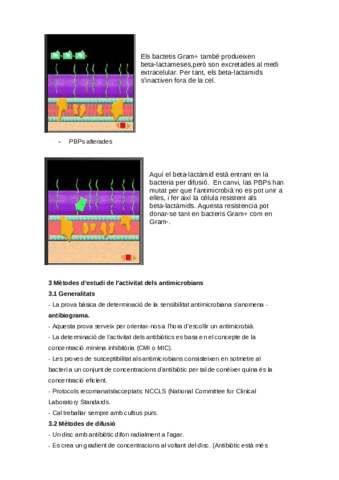 26-09-13-microbiologia-30-33.pdf