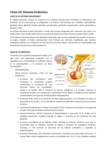 TEMA-10.pdf