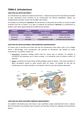 TEMA-6.pdf