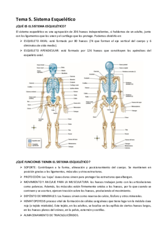 TEMA-5.pdf