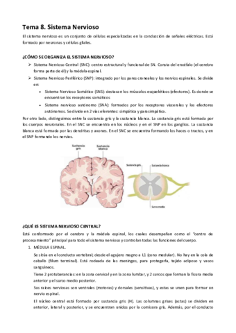 TEMA-8.pdf