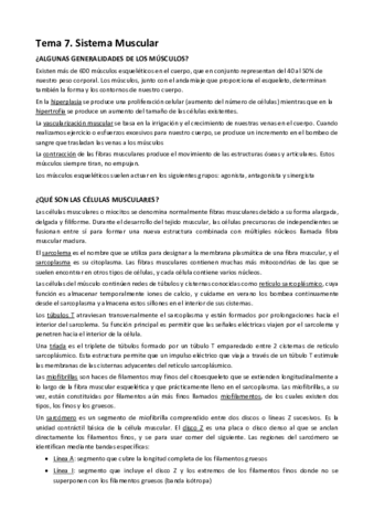 TEMA-7.pdf