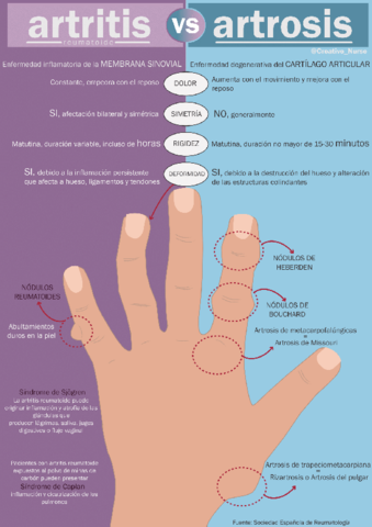 patologc3adasinfografc3adas.pdf