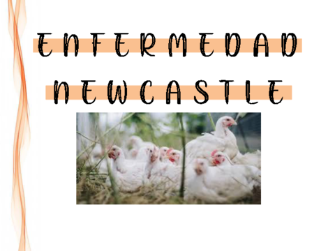 ENFERMEDADNEWCASTLE.pdf