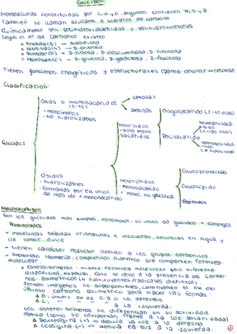 Glucidos.pdf