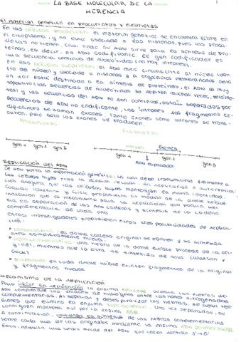 la-base-molecular-de-la-herencia.pdf