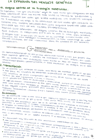 la-expresion-del-mensaje-geneticotranscripcion-y-traduccion.pdf