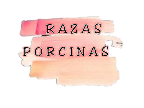 RAZASPORCINAS.pdf