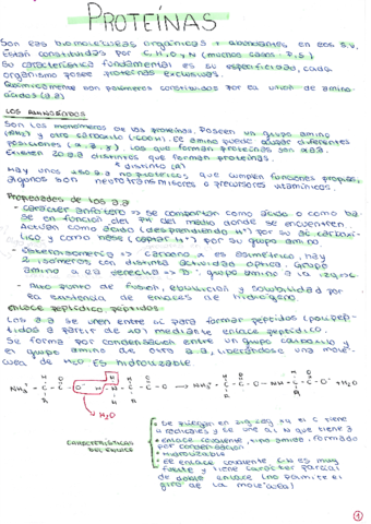 Proteinas.pdf
