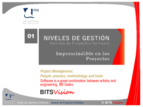 01-Niveles-de-Gestion.pdf