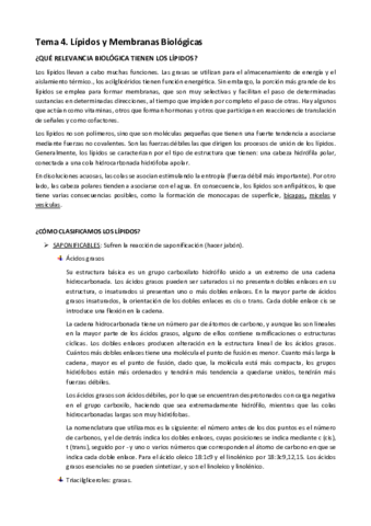 TEMA-4.pdf