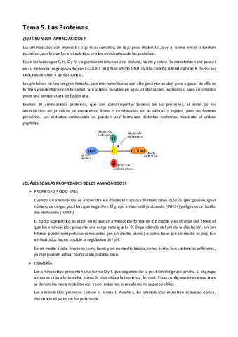 TEMA-5.pdf