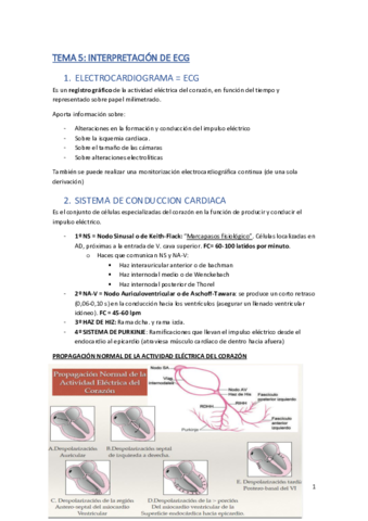 TEMA-6.pdf