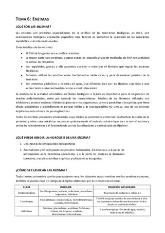 TEMA-6.pdf