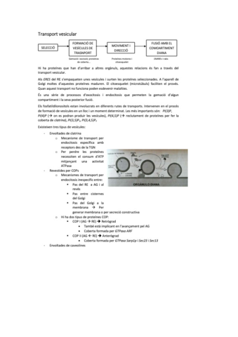 biocel-10.pdf