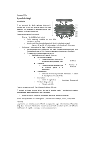 biocel-8.pdf
