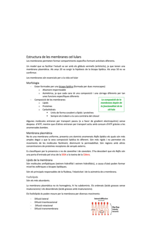 biocel-5.pdf