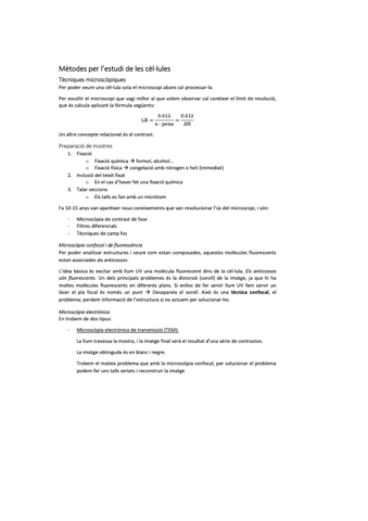 biocel-3.pdf