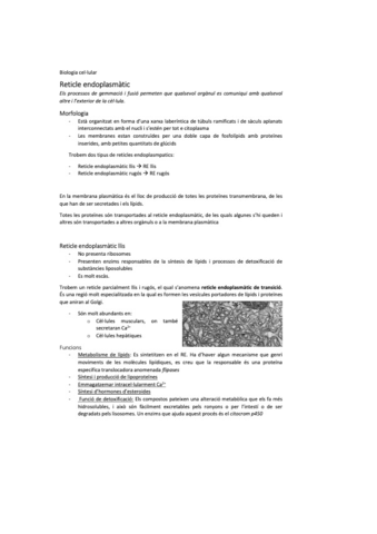biocel-6.pdf