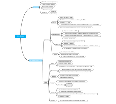 Ciclo-celular.pdf