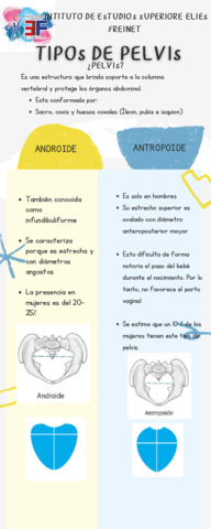 INFOGRAFIA-PELVIS-1.pdf