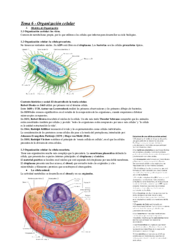 Tema-6-Organizacion-celular.pdf