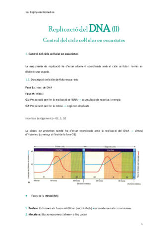 Replicacio-del-DNA-II.pdf