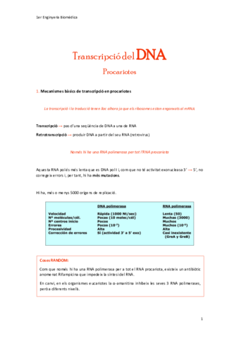 Transcripcio-del-DNAprocariotes.pdf