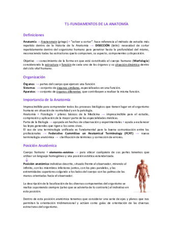 TEMA-1fundamentos-de-la-anatomia.pdf