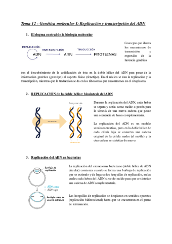 Replicacion-y-transcripcion-del-ADN.pdf