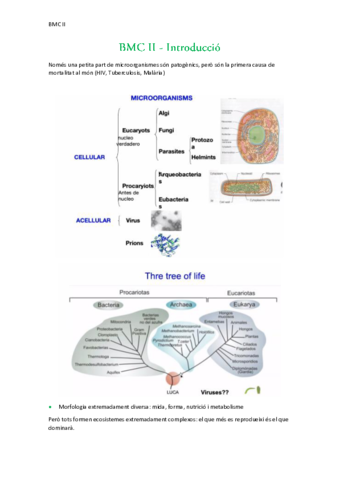 Introduccio.pdf