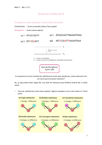 12Evolucio.pdf